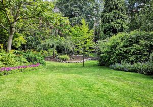 Optimiser l'expérience du jardin à Saint-Baudille-et-Pipet